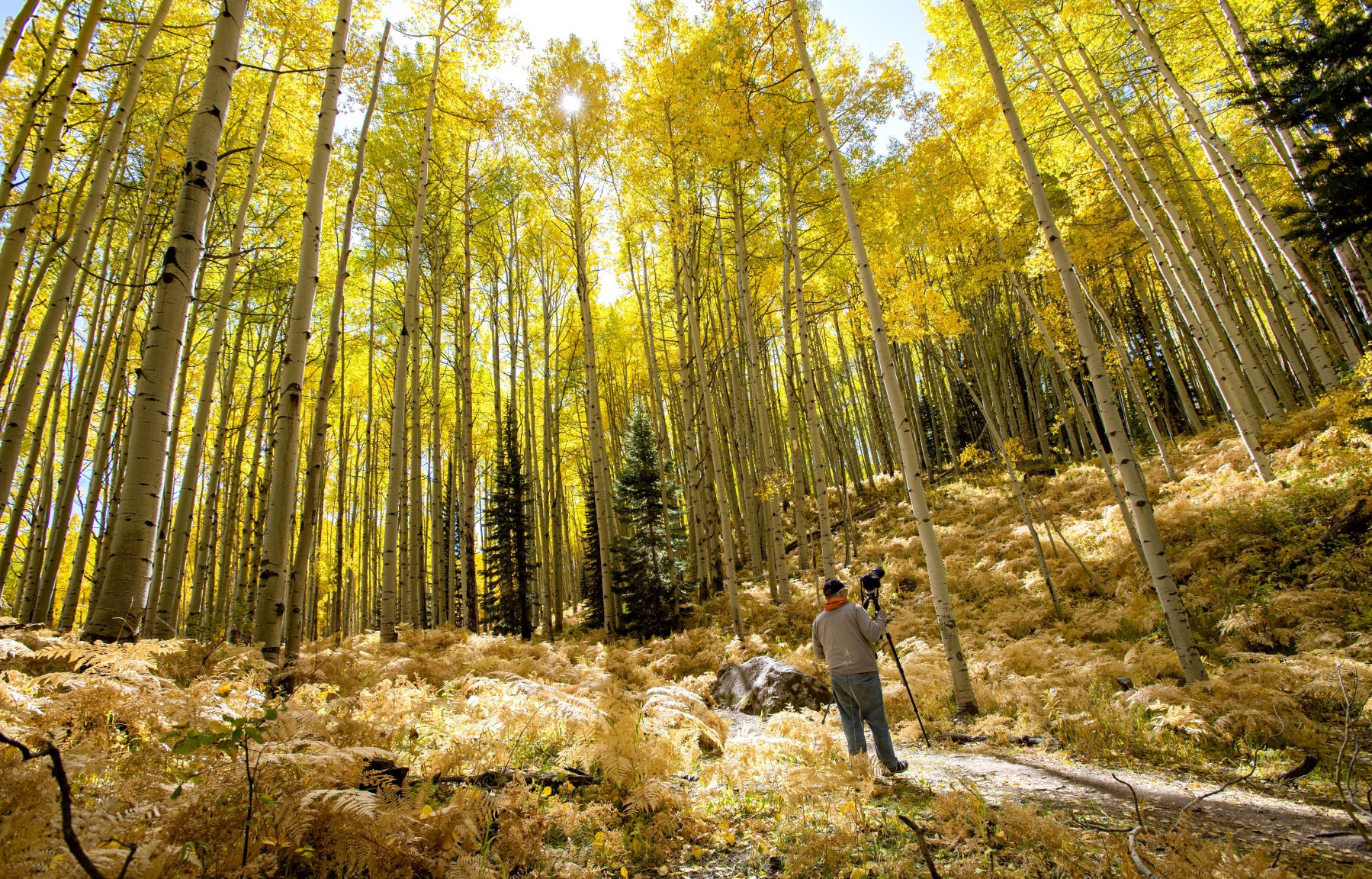 10_06_19 crested butte0177.JPG